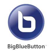 BIG BLUE BUTTON
